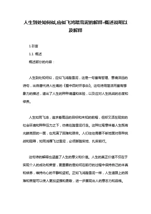 人生到处知何似,应似飞鸿踏雪泥的解释-解释说明