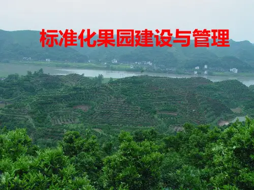 标准化果园