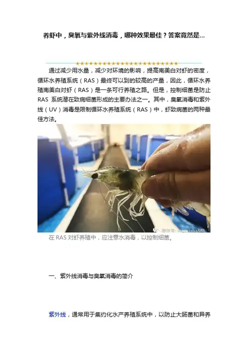 养虾中，臭氧与紫外线消毒，哪种效果最佳？答案竟然是...