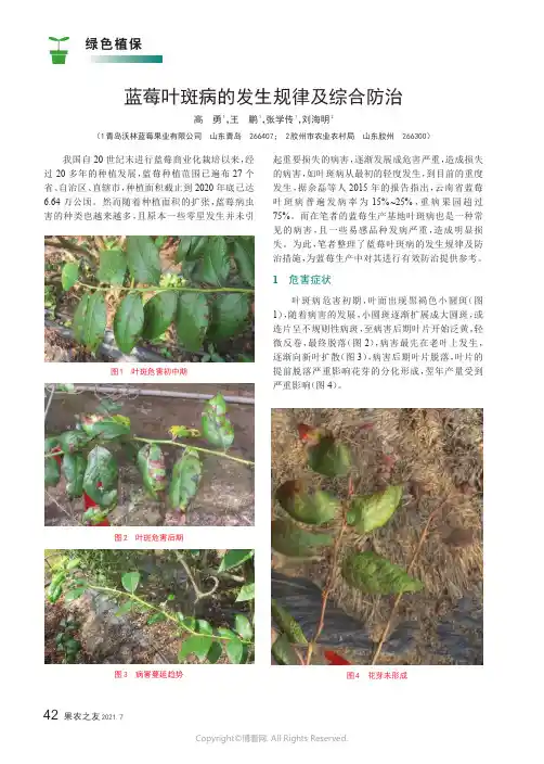 蓝莓叶斑病的发生规律及综合防治