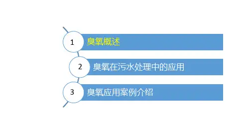 臭氧在污水处理中的应用参考文档