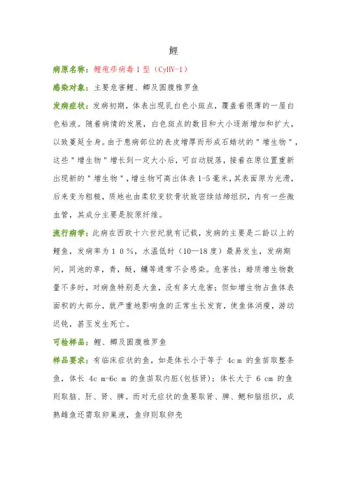 鲤疱疹病毒1型(CyHV-1)