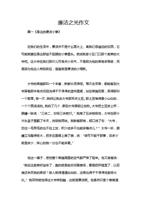 廉洁之光作文