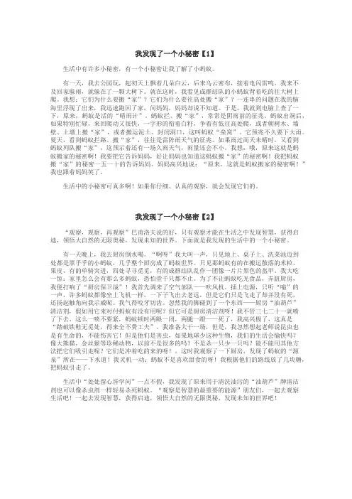 我发现了一个小秘密作文
