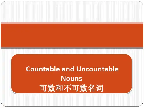 英语语法可数名词与不可数名词(共29张PPT)