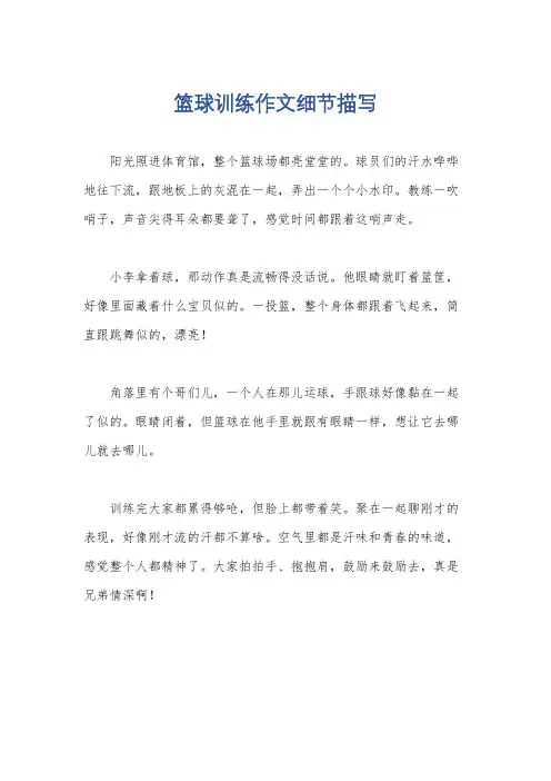 篮球训练作文细节描写