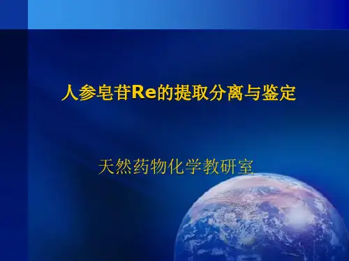 人参皂苷Re的提取分离与鉴定