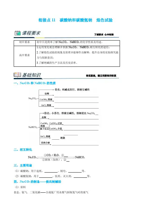 衔接点11  碳酸钠和碳酸氢钠 焰色试验(解析版)2023年初升高化学衔接