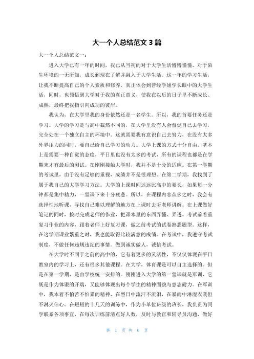 大一个人总结范文3篇
