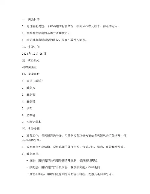 鸡翅解剖实验报告