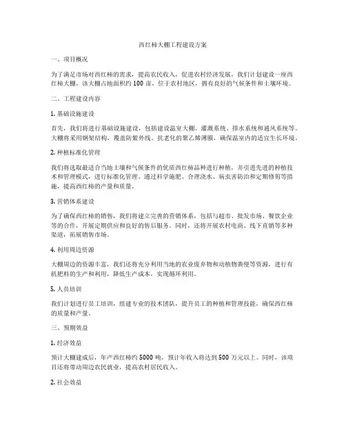 西红柿大棚工程建设方案