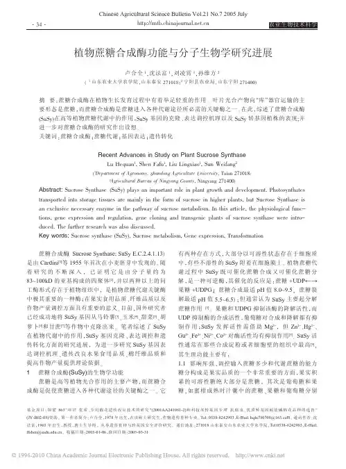 植物蔗糖合成酶功能与分子生物学研究进展