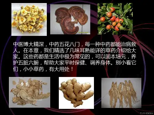 家庭必备中药ppt课件