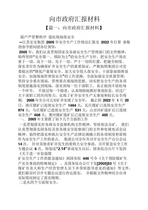 工作汇报之向市政府汇报材料