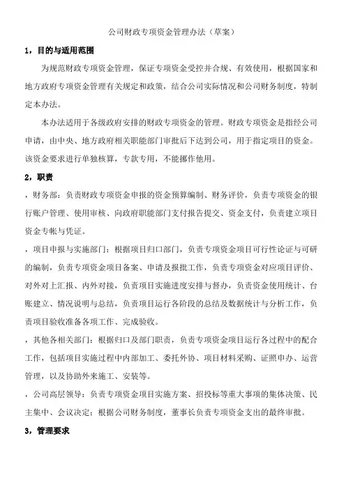 公司财政专项资金管理办法 (1)