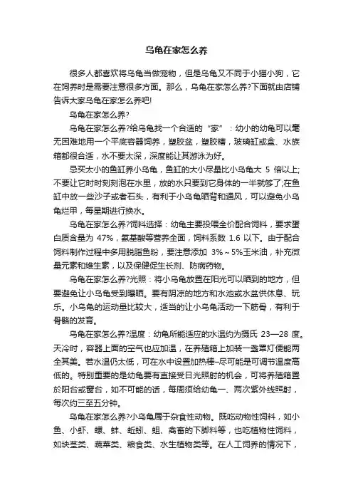 乌龟在家怎么养