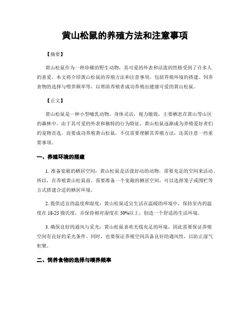 黄山松鼠的养殖方法和注意事项