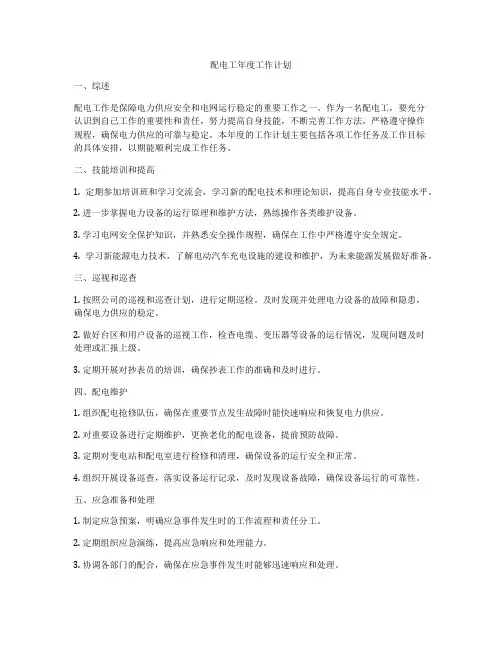 配电工年度工作计划