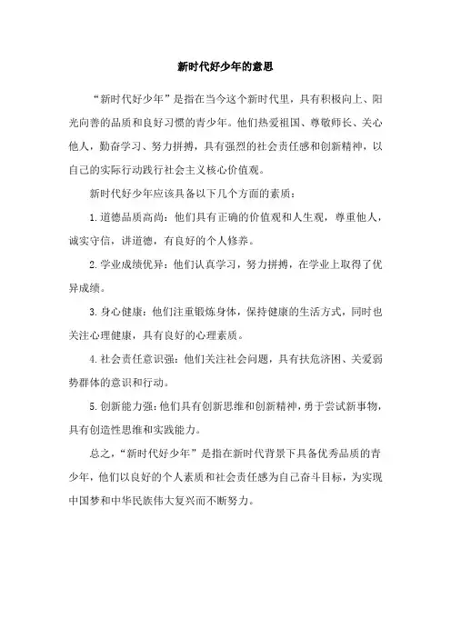 新时代好少年的意思
