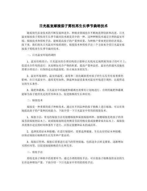 日光温室嫁接茄子剪枝再生长季节栽培技术