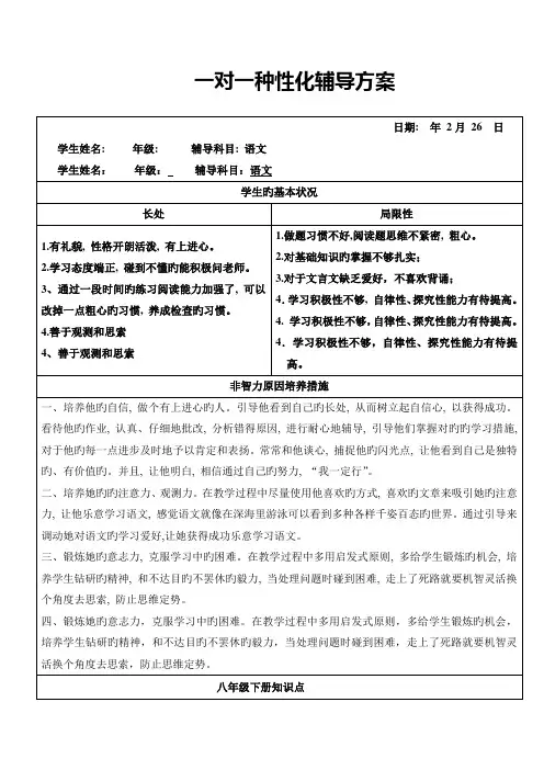 一对一个性化辅导方案