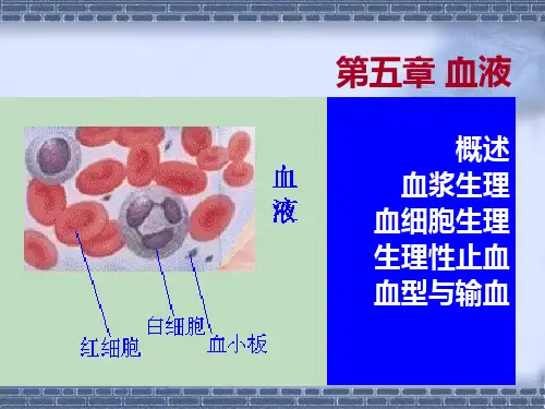 第五章 血液