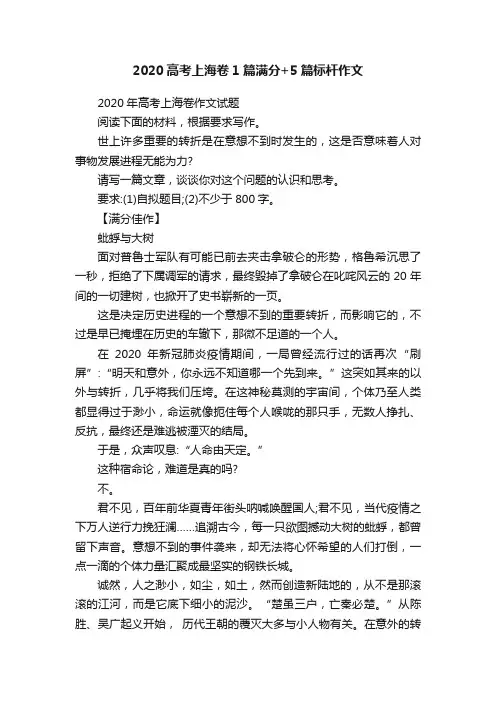 2020高考上海卷1篇满分+5篇标杆作文