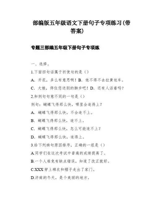 部编版五年级语文下册句子专项练习(带答案)