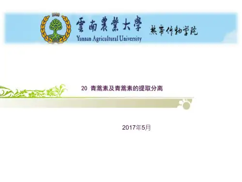 20 青蒿素及青蒿素的提取分离ppt课件