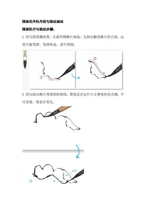 国画花卉牡丹的勾染法画法