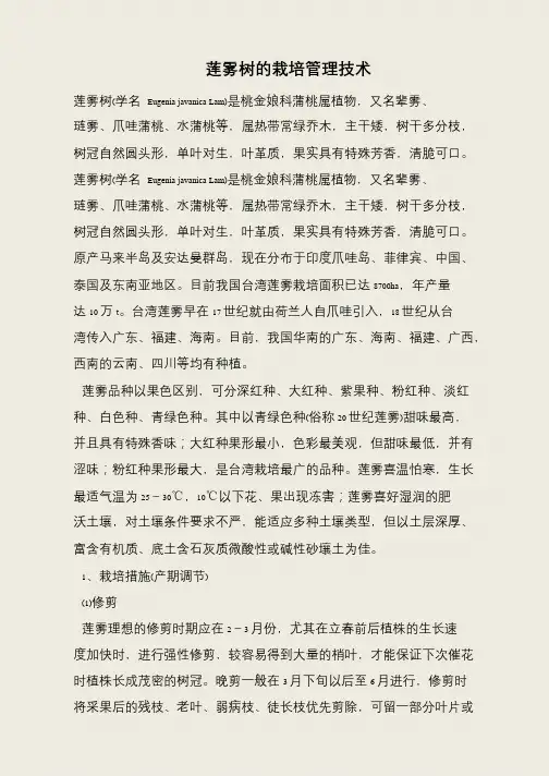 莲雾树的栽培管理技术