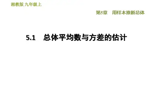 湘教版九年级上册数学课件第5章 总体平均数与方差的估计