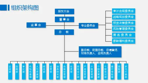 公司组织架构图模板(完整版)可编辑 (57)
