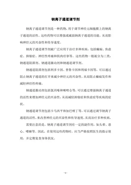 钠离子通道调节剂