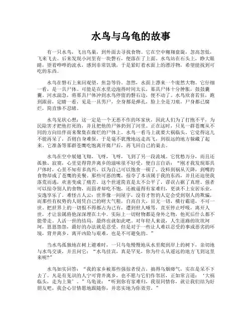 水鸟与乌龟的故事
