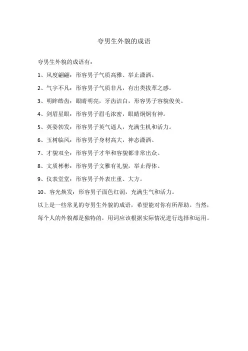 夸男生外貌的成语