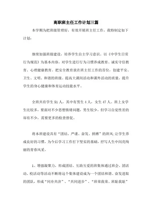 2020年高职班主任工作计划三篇
