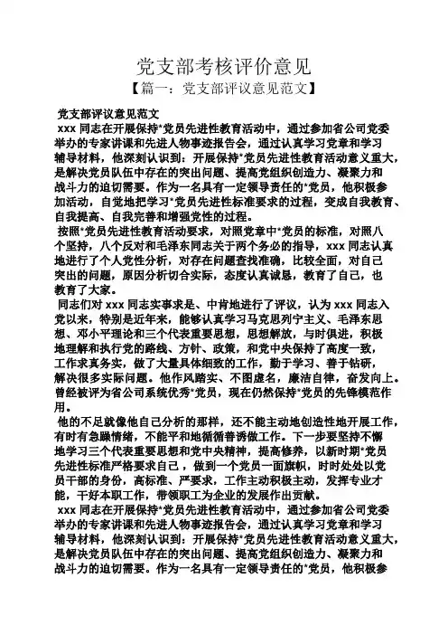 党支部考核评价意见