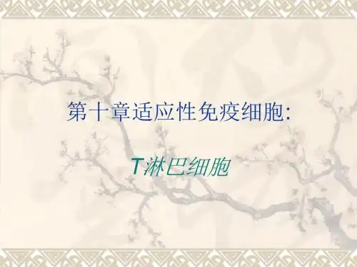 第十章适应性免疫应答T细胞