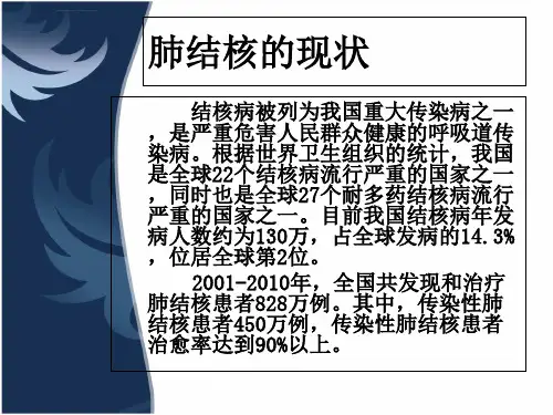 肺结核知识讲座课件ppt