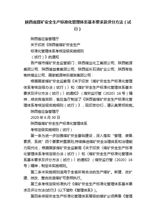 陕西省煤矿安全生产标准化管理体系基本要求及评分方法（试行）