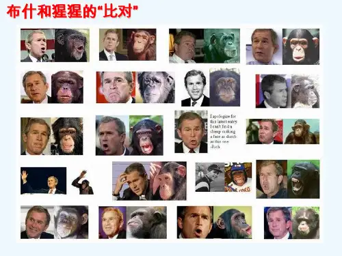 生物信息学 第四章 序列比对与算法