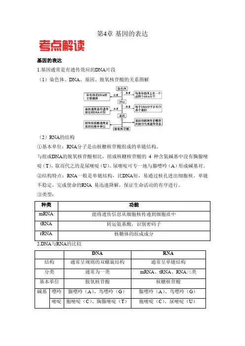 【高中生物】基因的表达2022-2023学年高一生物期末满分冲刺攻略人教版2019必修2(原卷版)