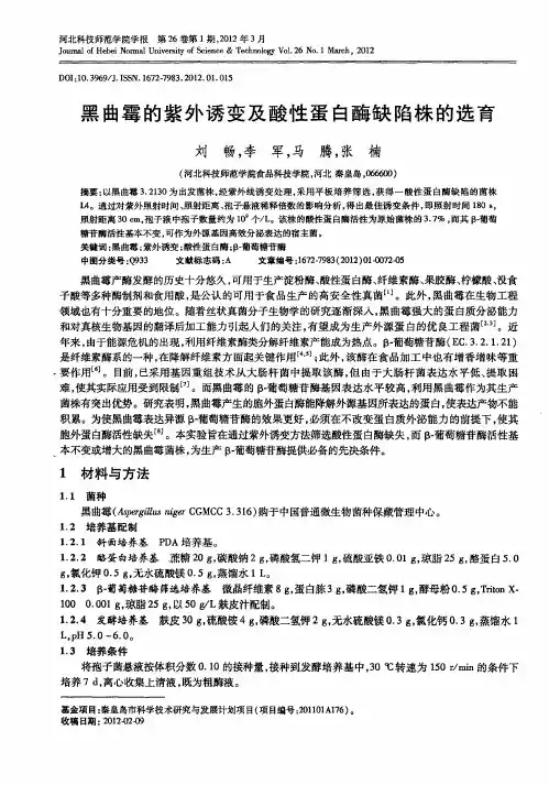 黑曲霉的紫外诱变及酸性蛋白酶缺陷株的选育