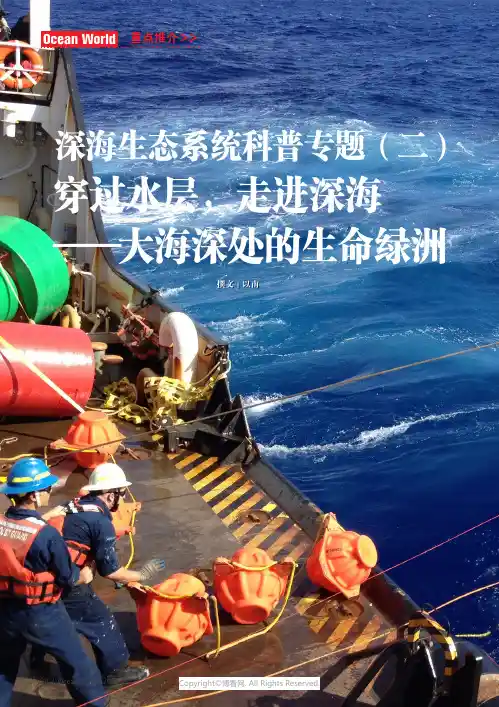 深海生态系统科普专题（二）穿过水层，走进深海——大海深处的生命绿洲