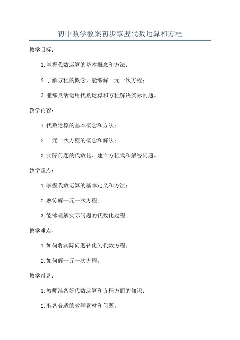 初中数学教案初步掌握代数运算和方程