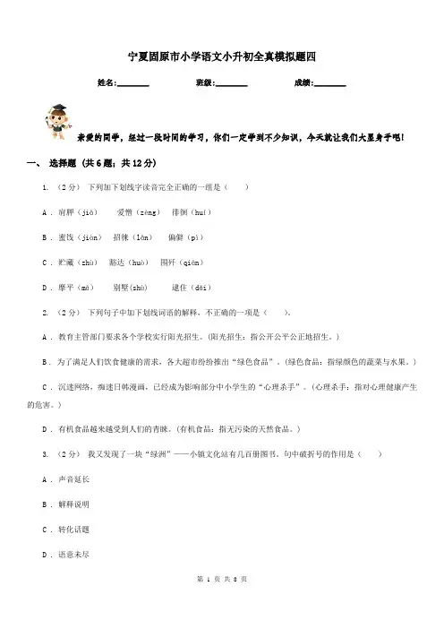 宁夏固原市小学语文小升初全真模拟题四