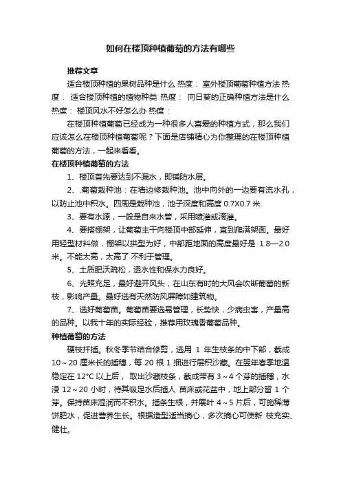 如何在楼顶种植葡萄的方法有哪些