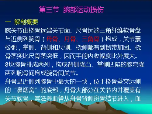 体育保健学--第十六章--各部位运动损伤2