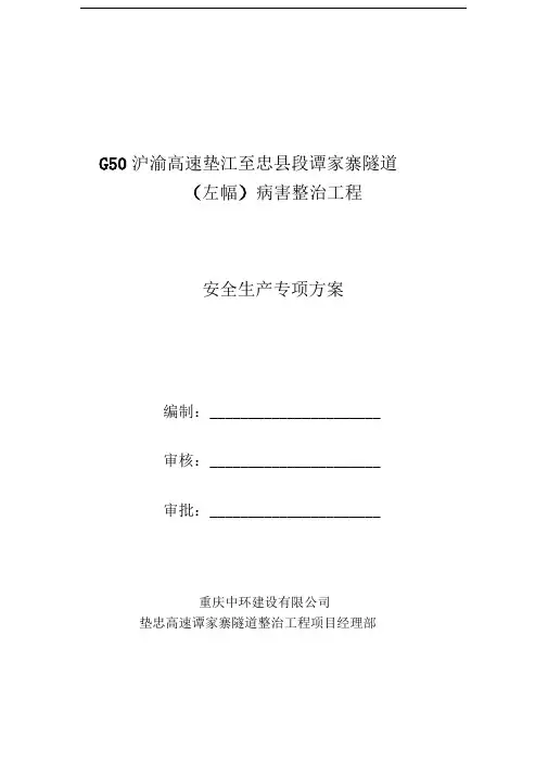 谭家寨隧道病害处治工程安全生产专项方案